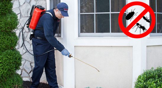 Çayırlı Böcek İlaçlama böcek ilaçlama ve haşere kontrolü — ilaclama-tr.com